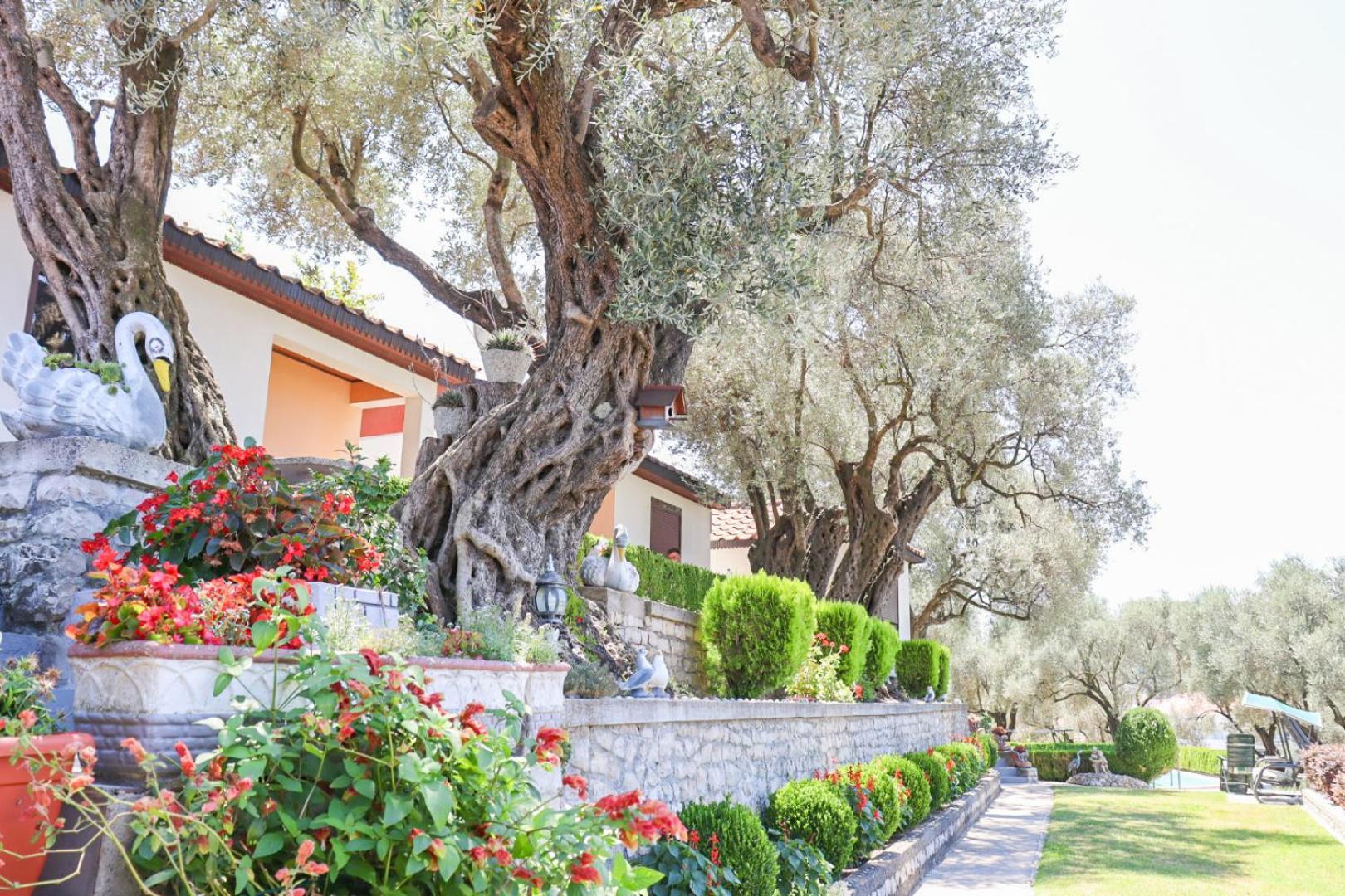Hilja'S Oliven Garden Bungalows Улцинь Экстерьер фото