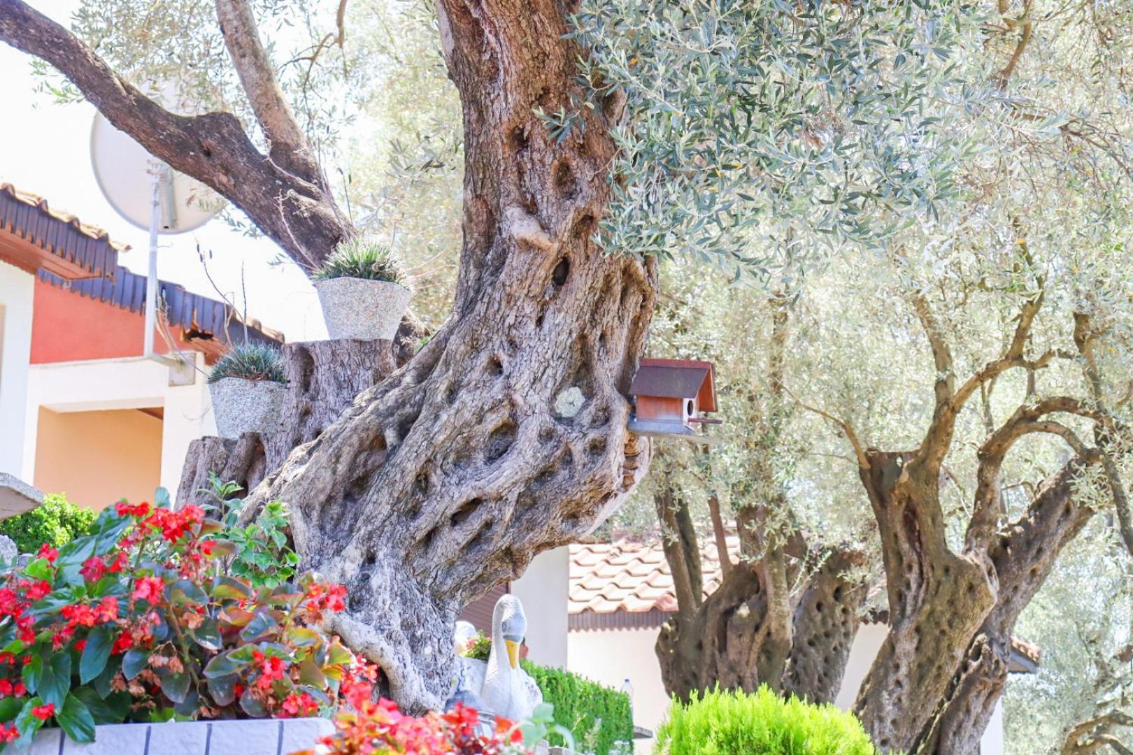 Hilja'S Oliven Garden Bungalows Улцинь Экстерьер фото