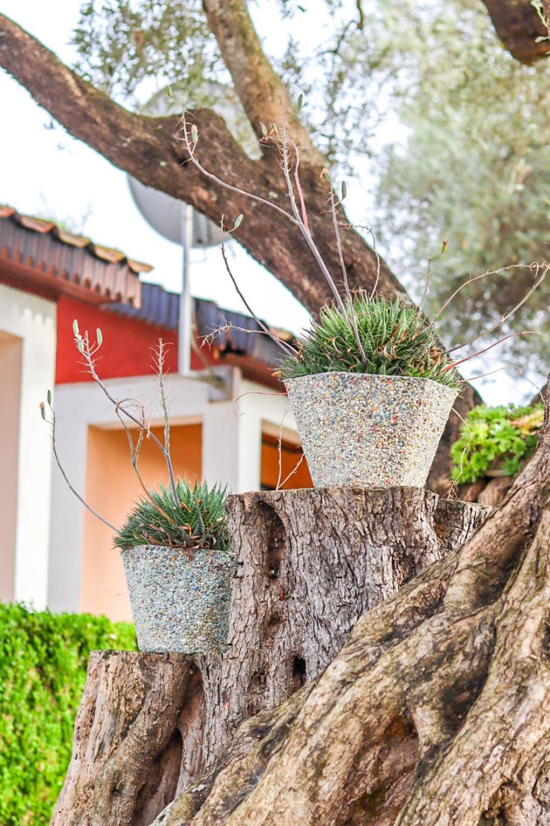 Hilja'S Oliven Garden Bungalows Улцинь Экстерьер фото