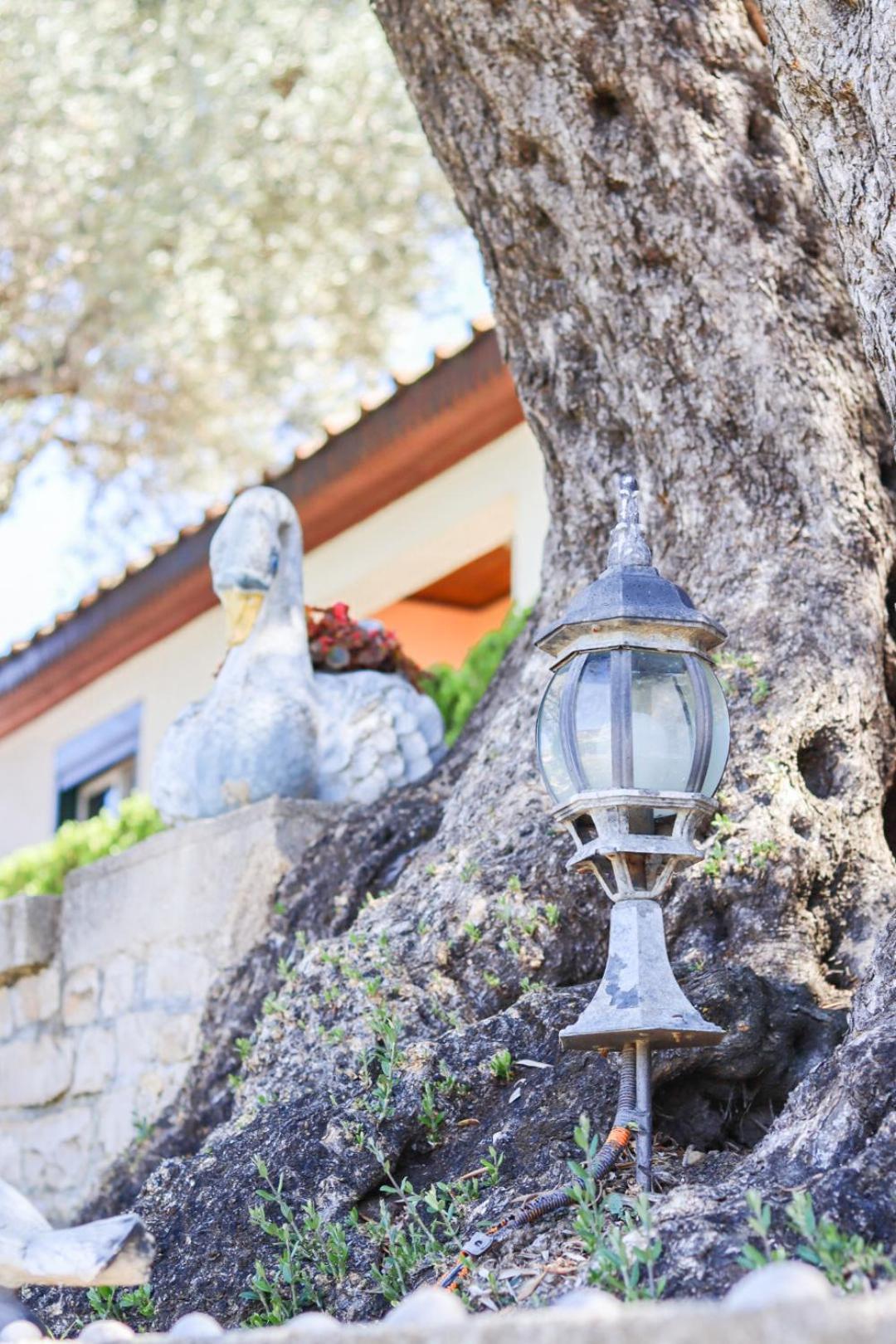 Hilja'S Oliven Garden Bungalows Улцинь Экстерьер фото