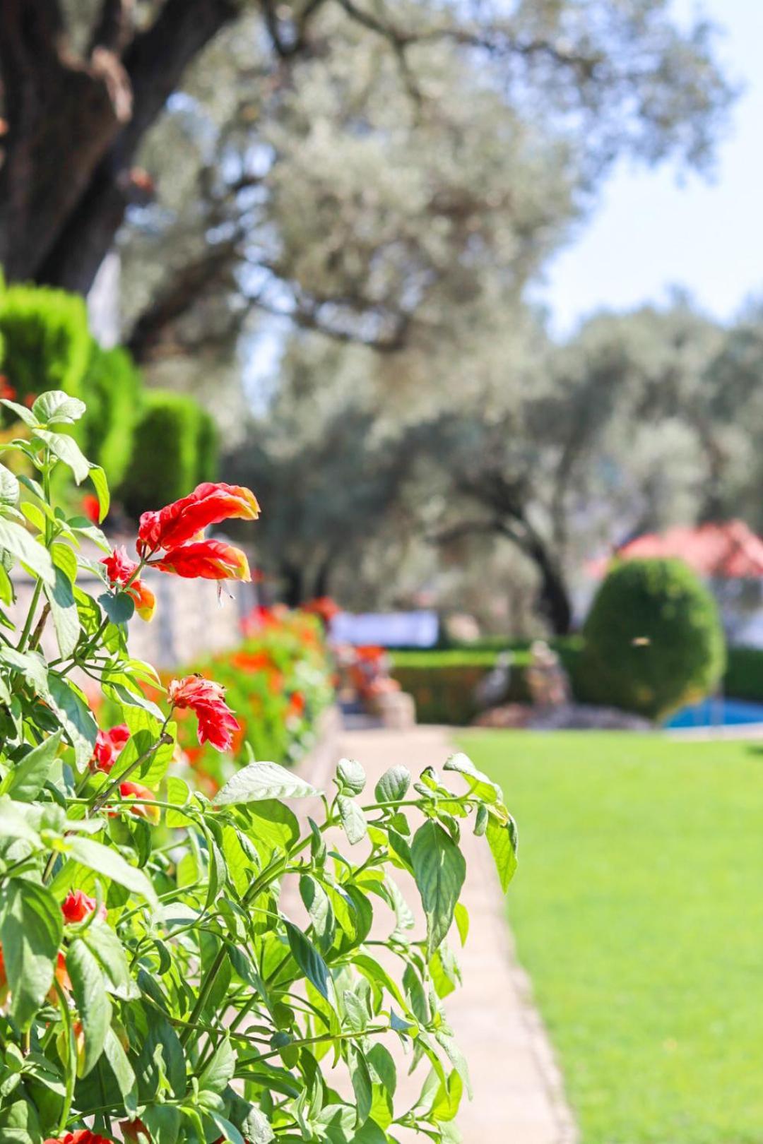 Hilja'S Oliven Garden Bungalows Улцинь Экстерьер фото