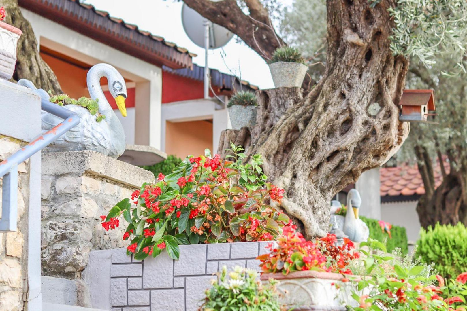 Hilja'S Oliven Garden Bungalows Улцинь Экстерьер фото