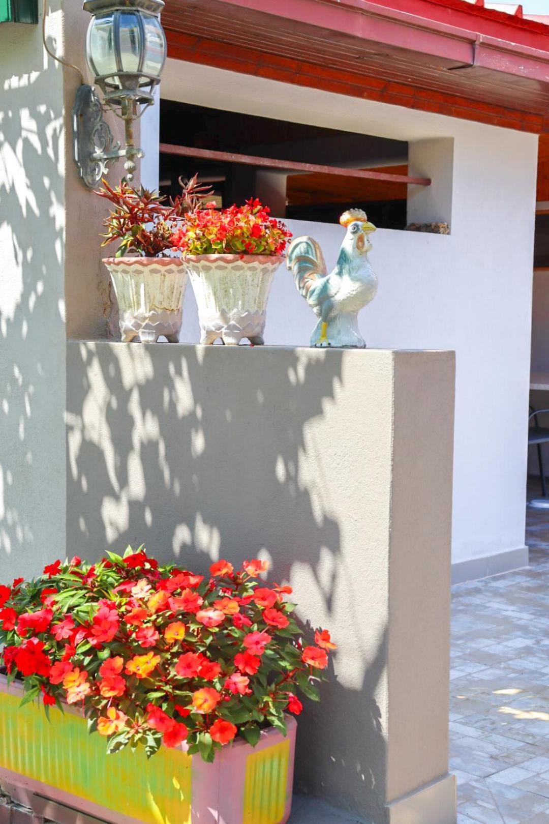 Hilja'S Oliven Garden Bungalows Улцинь Экстерьер фото