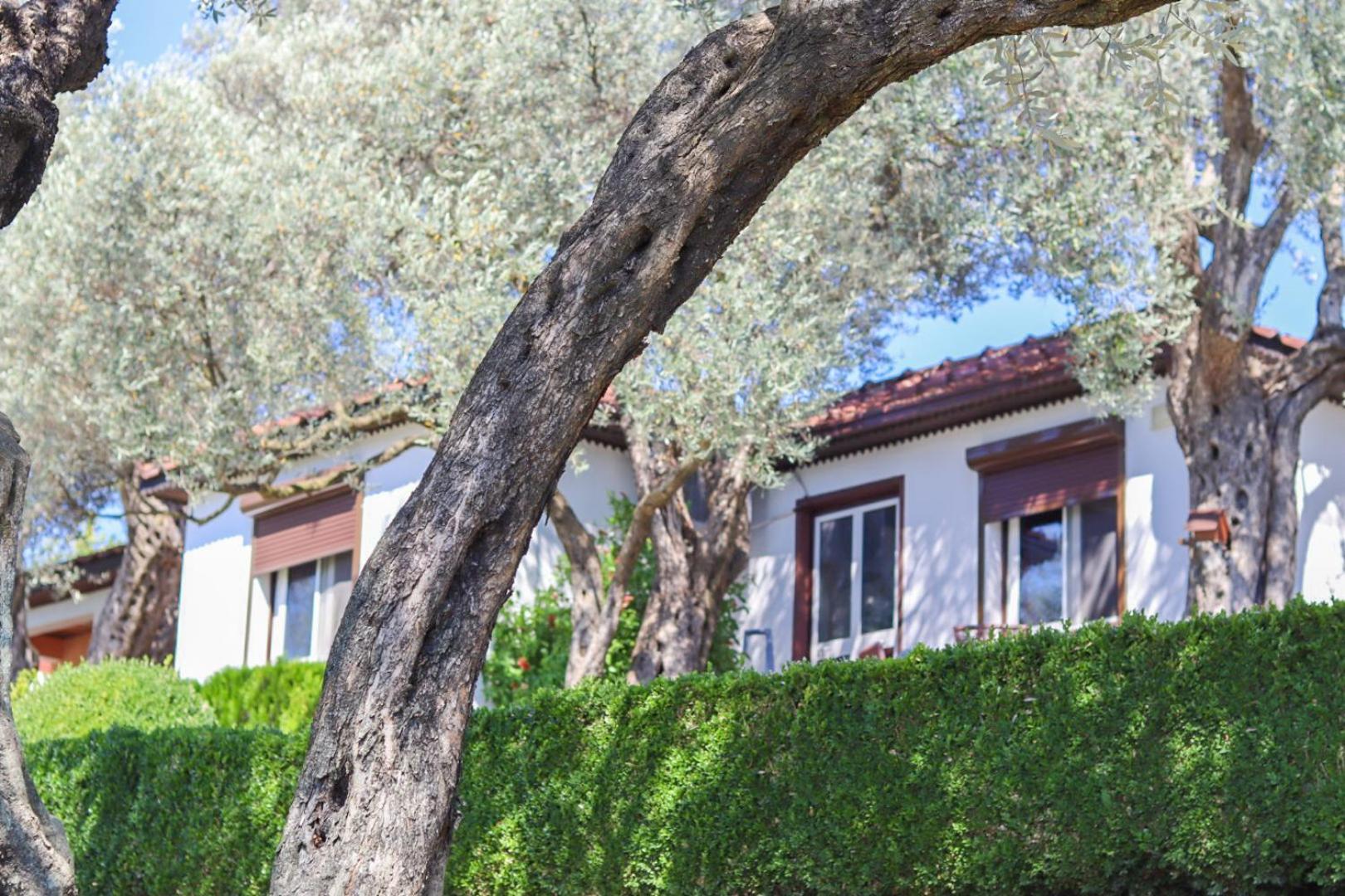 Hilja'S Oliven Garden Bungalows Улцинь Экстерьер фото