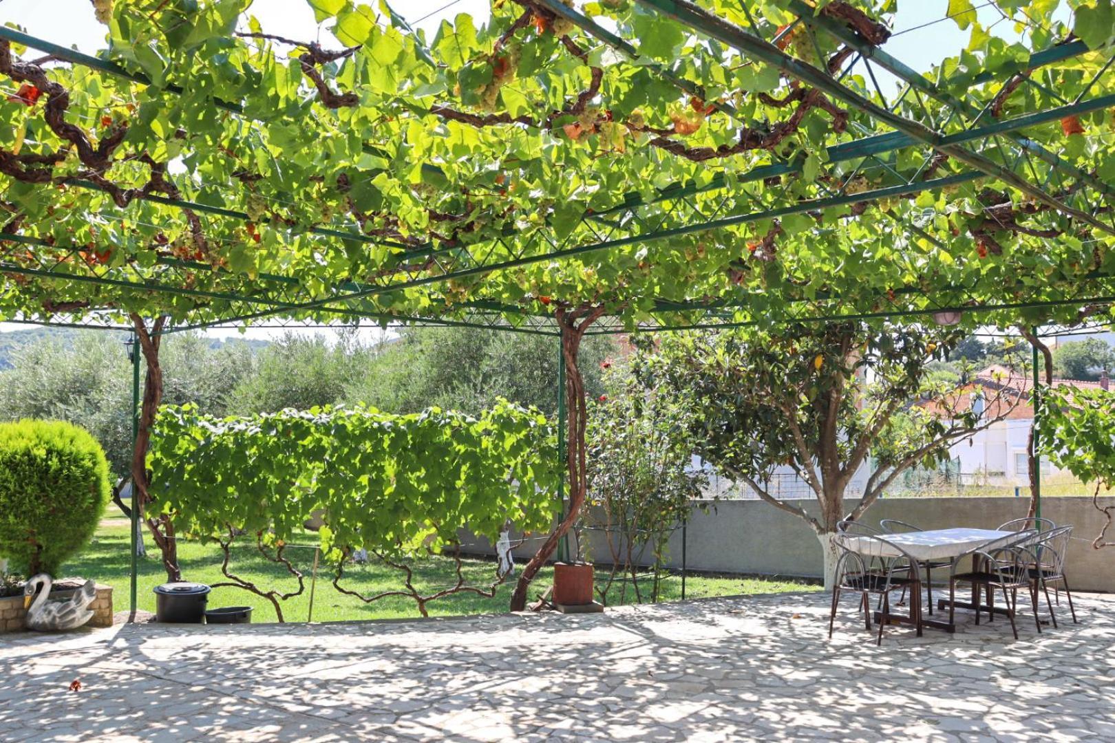 Hilja'S Oliven Garden Bungalows Улцинь Экстерьер фото