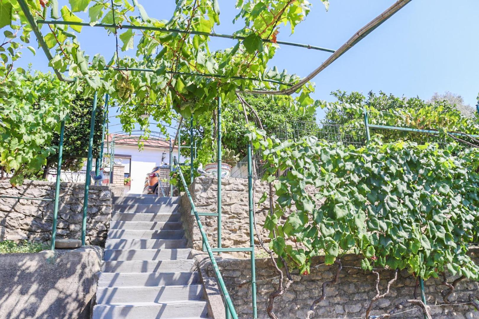 Hilja'S Oliven Garden Bungalows Улцинь Экстерьер фото